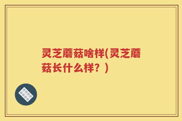 灵芝蘑菇啥样(灵芝蘑菇长什么样?) 灵芝蘑菇啥样(灵芝蘑菇长什么样?)