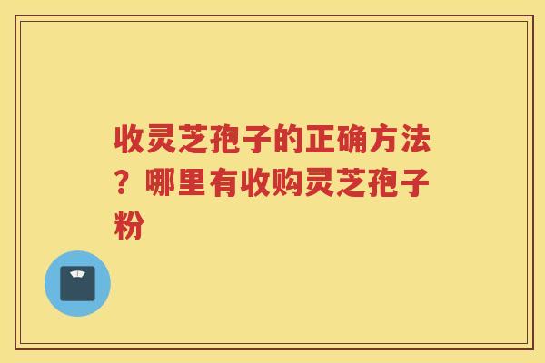 收灵芝孢子的正确方法？哪里有收购灵芝孢子粉