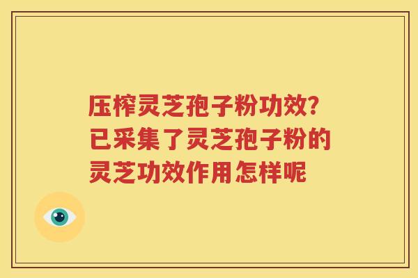 压榨灵芝孢子粉功效?已采集了灵芝孢子粉的灵芝功效作用怎样呢 压榨灵芝孢子粉功效?已采集了灵芝孢子粉的灵芝功效作用怎样呢