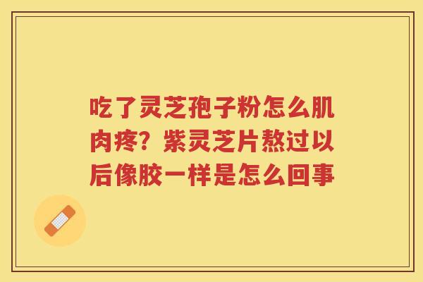 吃了灵芝孢子粉怎么肌肉疼？紫灵芝片熬过以后像胶一样是怎么回事