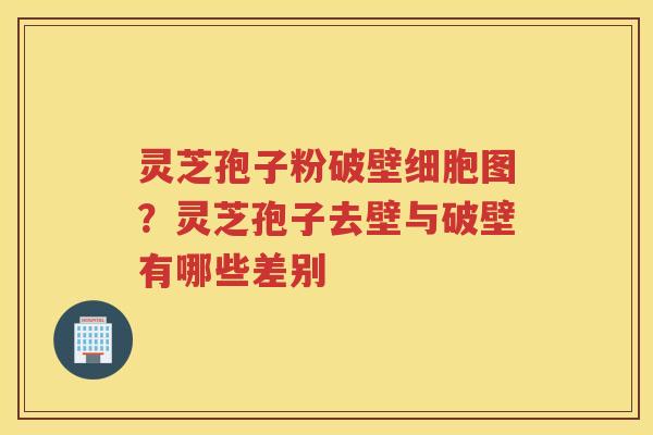 灵芝孢子粉破壁细胞图?灵芝孢子去壁与破壁有哪些差别 灵芝孢子粉破壁细胞图?灵芝孢子去壁与破壁有哪些差别