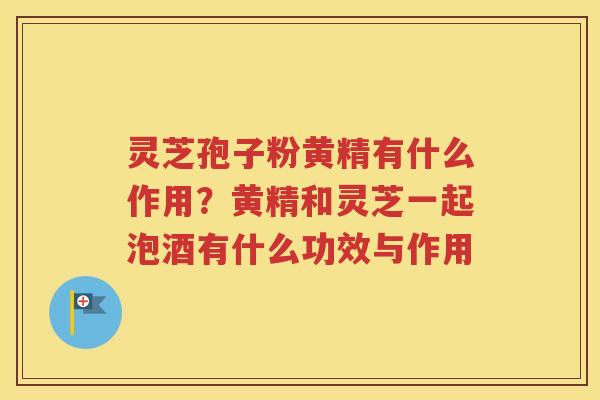 灵芝孢子粉黄精有什么作用?黄精和灵芝一起泡酒有什么功效与作用 灵芝孢子粉黄精有什么作用?黄精和灵芝一起泡酒有什么功效与作用