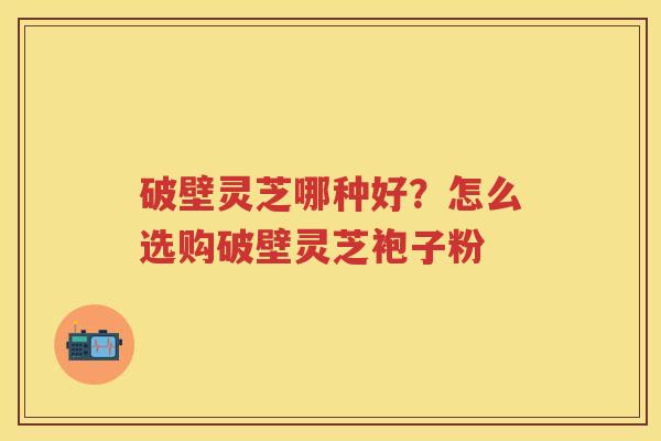 破壁灵芝哪种好？怎么选购破壁灵芝袍子粉