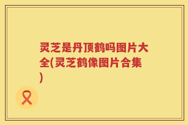 灵芝是丹顶鹤吗图片大全(灵芝鹤像图片合集) 灵芝是丹顶鹤吗图片大全(灵芝鹤像图片合集)