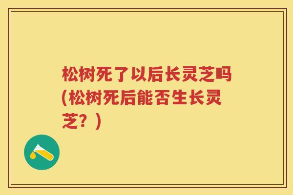 松树死了以后长灵芝吗(松树死后能否生长灵芝？)