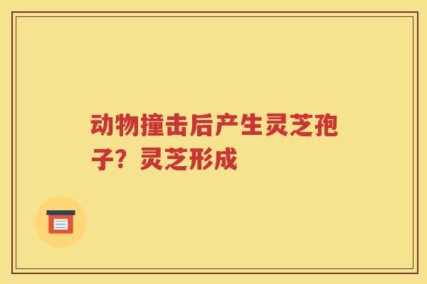 动物撞击后产生灵芝孢子?灵芝形成 动物撞击后产生灵芝孢子?灵芝形成