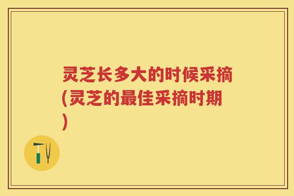 灵芝长多大的时候采摘(灵芝的佳采摘时期)
