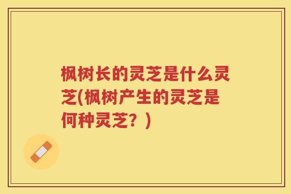 枫树长的灵芝是什么灵芝(枫树产生的灵芝是何种灵芝?) 枫树长的灵芝是什么灵芝(枫树产生的灵芝是何种灵芝?)