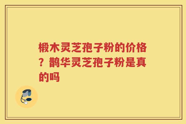 椴木灵芝孢子粉的价格?鹊华灵芝孢子粉是真的吗 椴木灵芝孢子粉的价格?鹊华灵芝孢子粉是真的吗