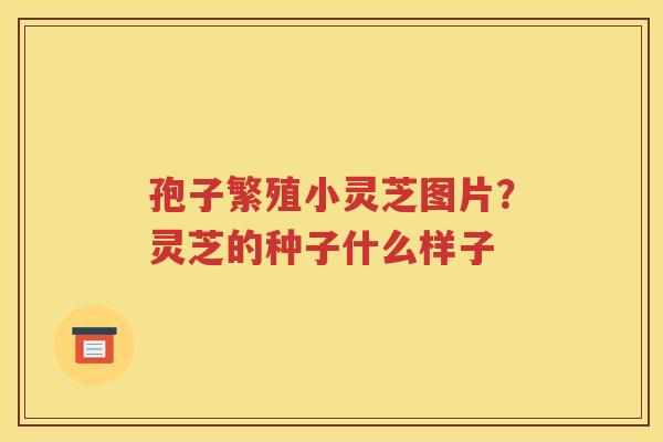 孢子繁殖小灵芝图片？灵芝的种子什么样子