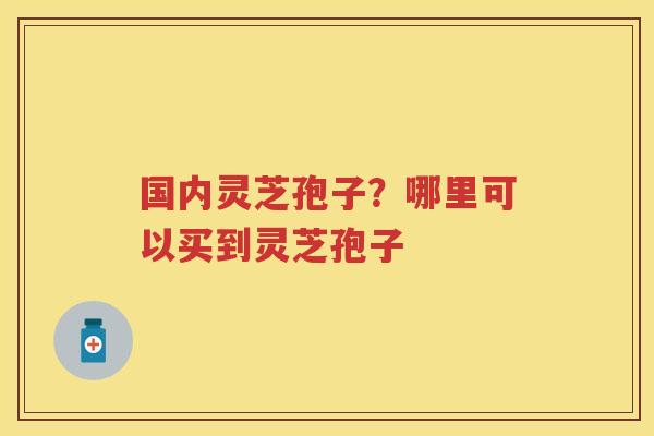 国内灵芝孢子？哪里可以买到灵芝孢子