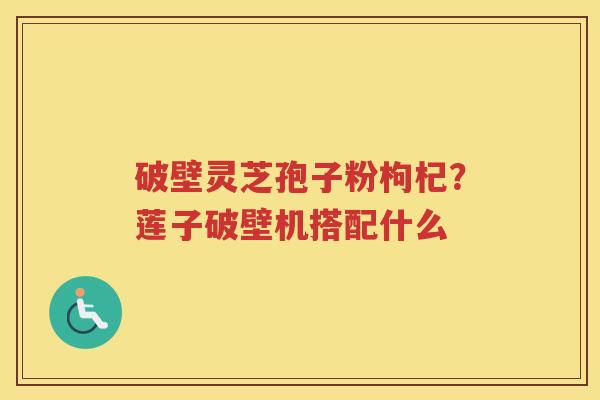破壁灵芝孢子粉枸杞？莲子破壁机搭配什么
