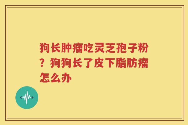 狗长吃灵芝孢子粉？狗狗长了皮下脂肪瘤怎么办