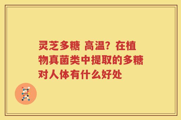 灵芝多糖 高温?在植物真菌类中提取的多糖对人体有什么好处 灵芝多糖 高温?在植物真菌类中提取的多糖对人体有什么好处