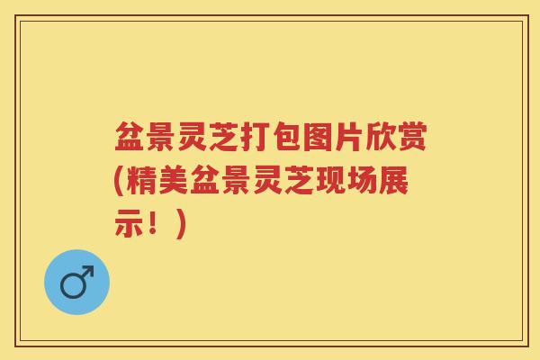 盆景灵芝打包图片欣赏(精美盆景灵芝现场展示!) 盆景灵芝打包图片欣赏(精美盆景灵芝现场展示!)