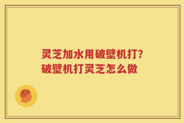 灵芝加水用破壁机打？破壁机打灵芝怎么做