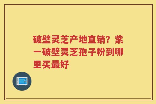 破壁灵芝产地直销？紫一破壁灵芝孢子粉到哪里买好