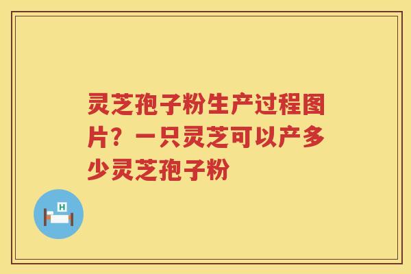 灵芝孢子粉生产过程图片？一只灵芝可以产多少灵芝孢子粉