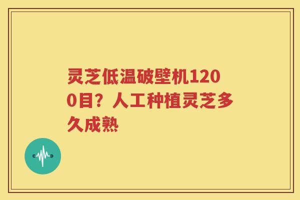 灵芝低温破壁机1200目?人工种植灵芝多久成熟 灵芝低温破壁机1200目?人工种植灵芝多久成熟