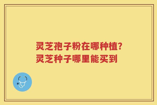 灵芝孢子粉在哪种植?灵芝种子哪里能买到 灵芝孢子粉在哪种植?灵芝种子哪里能买到