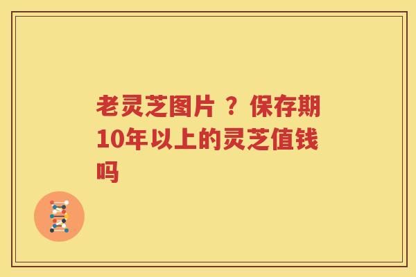 老灵芝图片 ?保存期10年以上的灵芝值钱吗 老灵芝图片 ?保存期10年以上的灵芝值钱吗