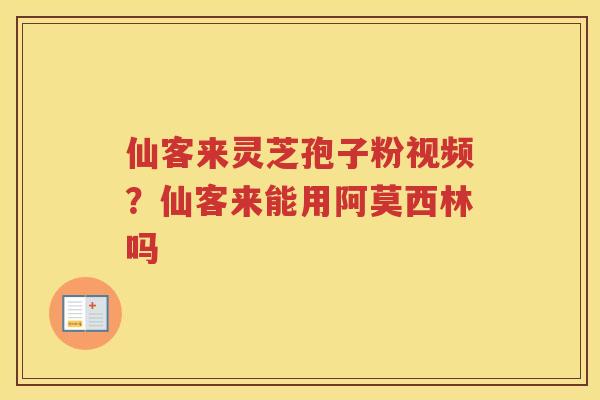 仙客来灵芝孢子粉视频?仙客来能用阿莫西林吗 仙客来灵芝孢子粉视频?仙客来能用阿莫西林吗