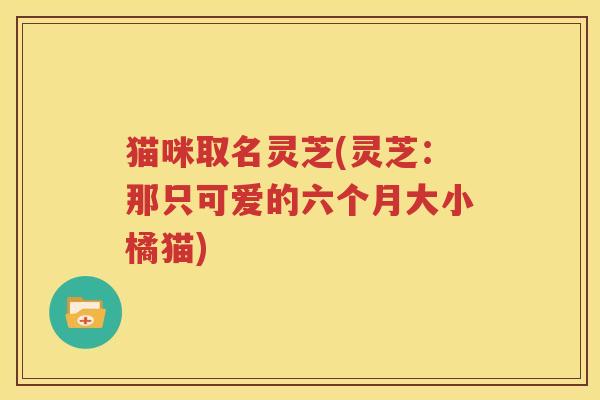 猫咪取名灵芝(灵芝:那只可爱的六个月大小橘猫) 猫咪取名灵芝(灵芝:那只可爱的六个月大小橘猫)