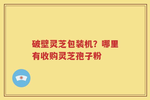 破壁灵芝包装机？哪里有收购灵芝孢子粉