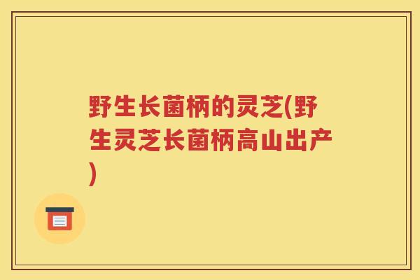 野生长菌柄的灵芝(野生灵芝长菌柄高山出产)