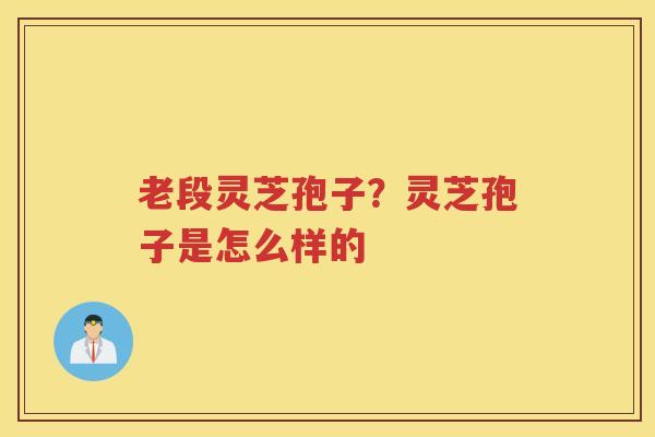 老段灵芝孢子?灵芝孢子是怎么样的 老段灵芝孢子?灵芝孢子是怎么样的