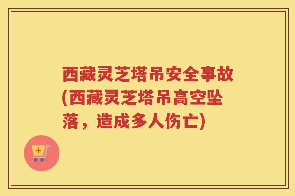 西藏灵芝塔吊安全事故(西藏灵芝塔吊高空坠落，造成多人伤亡)