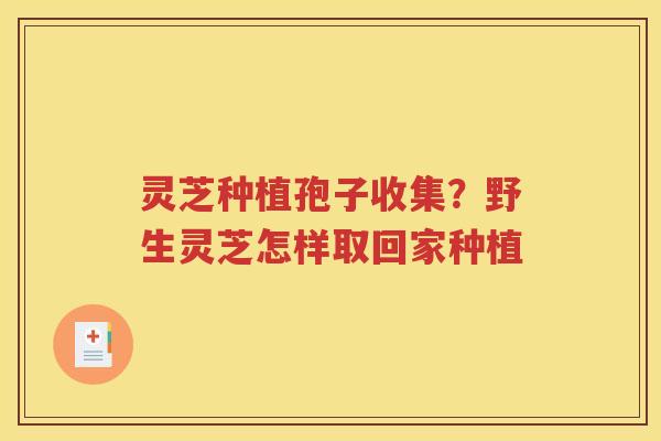 灵芝种植孢子收集？野生灵芝怎样取回家种植