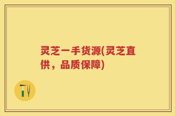灵芝一手货源(灵芝直供，品质保障)