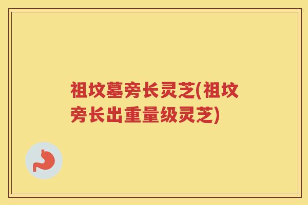 祖坟墓旁长灵芝(祖坟旁长出重量级灵芝)