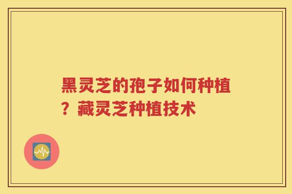 黑灵芝的孢子如何种植？藏灵芝种植技术
