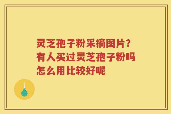 灵芝孢子粉采摘图片？有人买过灵芝孢子粉吗怎么用比较好呢