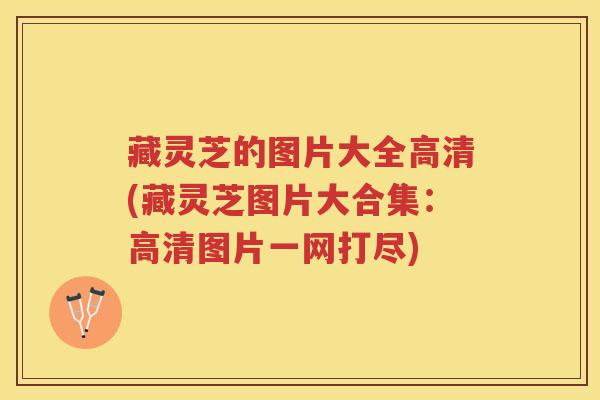 藏灵芝的图片大全高清(藏灵芝图片大合集：高清图片一网打尽)