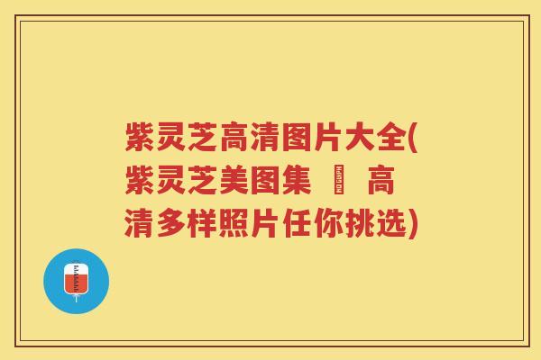 紫灵芝高清图片大全(紫灵芝美图集 – 高清多样照片任你挑选) 紫灵芝高清图片大全(紫灵芝美图集 – 高清多样照片任你挑选)