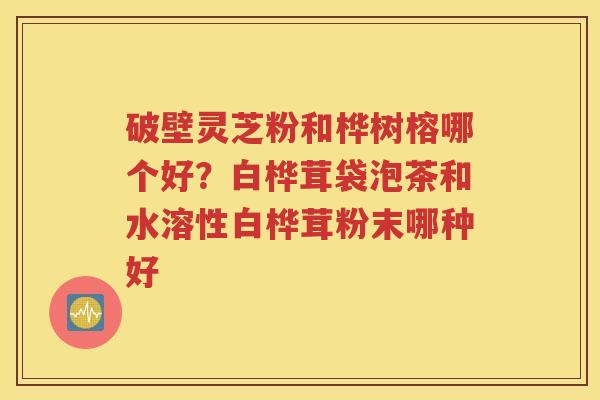 破壁灵芝粉和桦树榕哪个好？白桦茸袋泡茶和水溶性白桦茸粉末哪种好