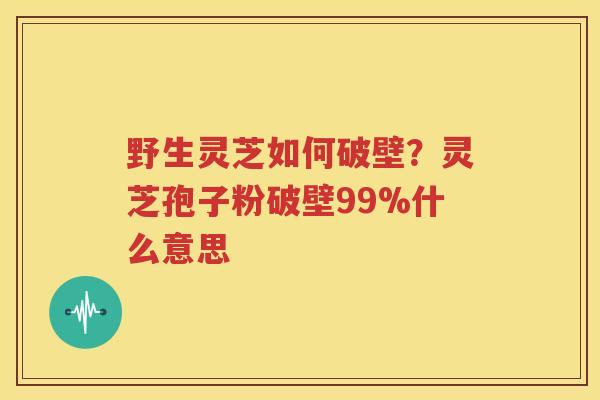 野生灵芝如何破壁？灵芝孢子粉破壁99%什么意思