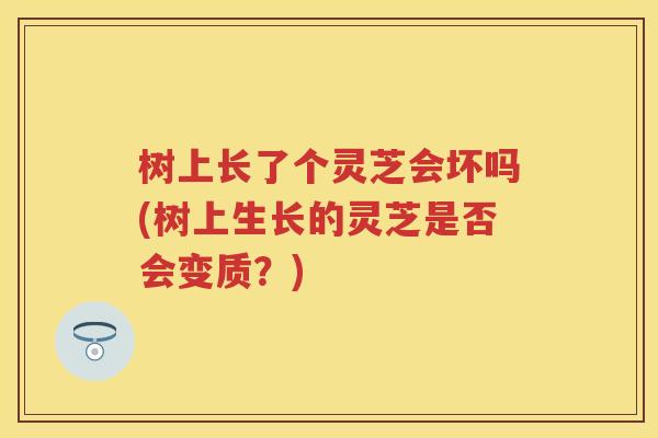 树上长了个灵芝会坏吗(树上生长的灵芝是否会变质?) 树上长了个灵芝会坏吗(树上生长的灵芝是否会变质?)