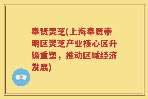 奉贤灵芝(上海奉贤崇明区灵芝产业核心区升级重塑，推动区域经济发展)