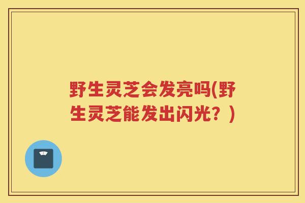 野生灵芝会发亮吗(野生灵芝能发出闪光？)