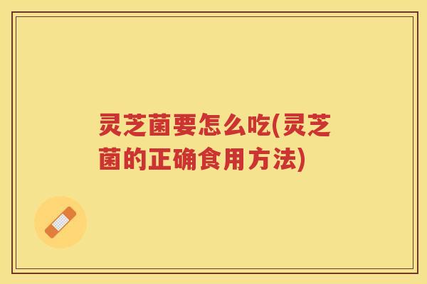 灵芝菌要怎么吃(灵芝菌的正确食用方法)