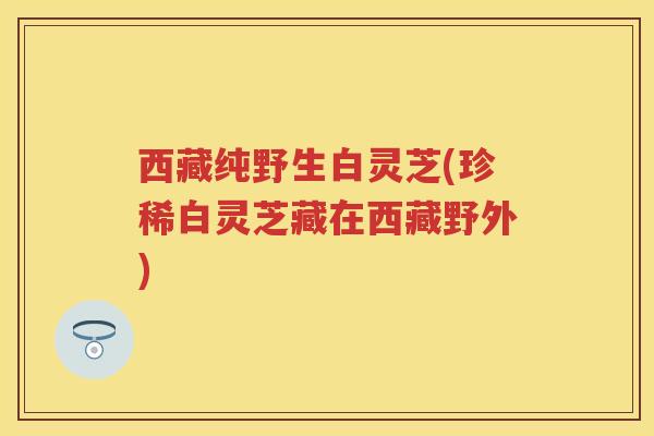 西藏纯野生白灵芝(珍稀白灵芝藏在西藏野外)