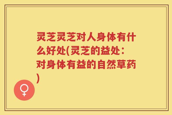 灵芝灵芝对人身体有什么好处(灵芝的益处：对身体有益的自然草药)