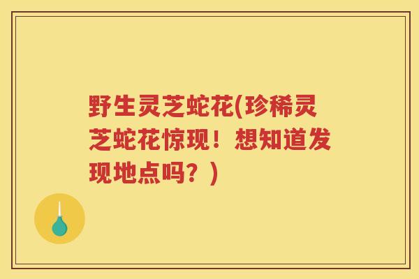 野生灵芝蛇花(珍稀灵芝蛇花惊现！想知道发现地点吗？)