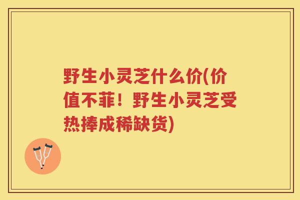 野生小灵芝什么价(价值不菲！野生小灵芝受热捧成稀缺货)