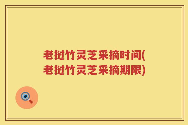 老挝竹灵芝采摘时间(老挝竹灵芝采摘期限)