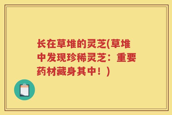长在草堆的灵芝(草堆中发现珍稀灵芝：重要药材藏身其中！)